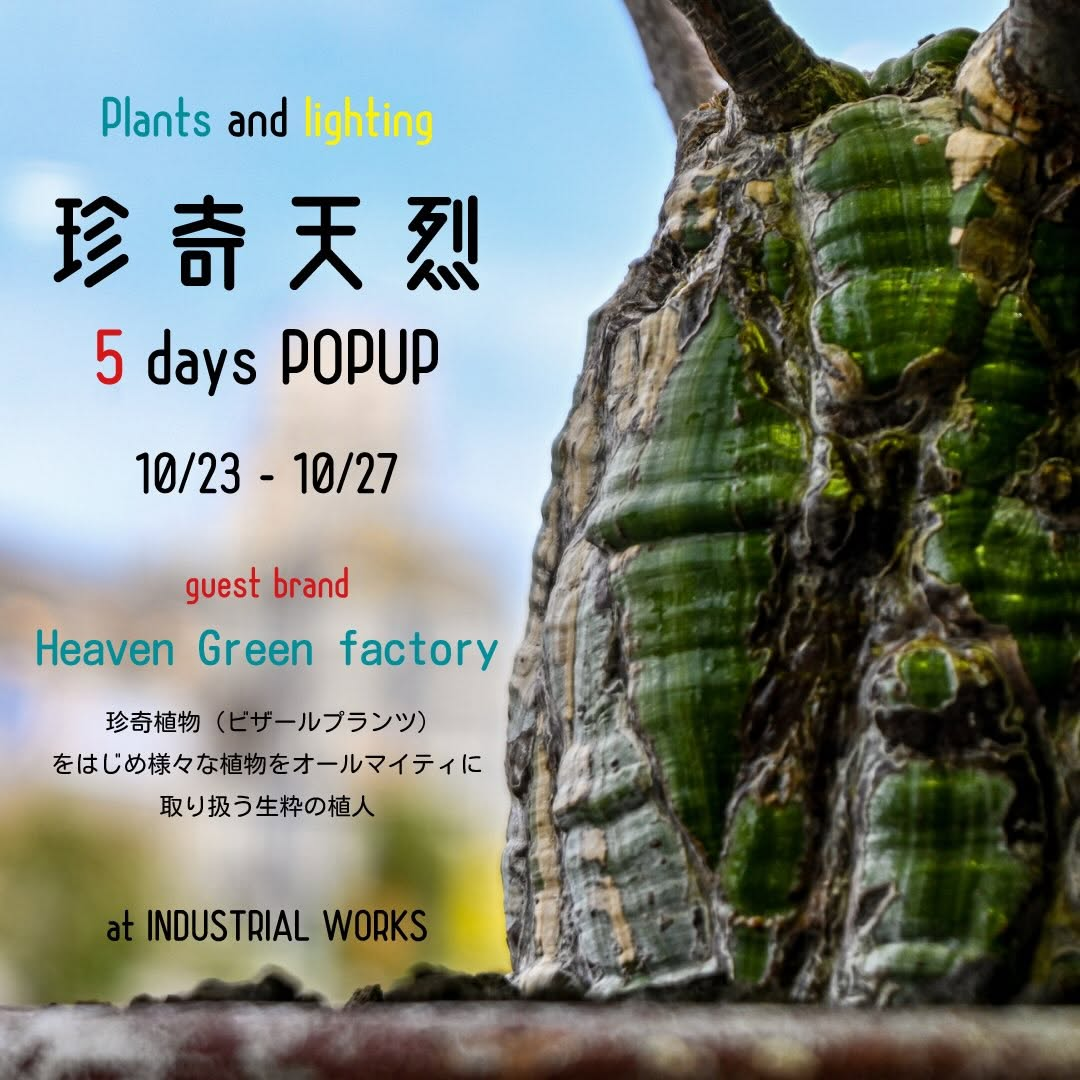 INDUSTRIAL WORKSでPOPUP「珍奇天烈植物 vol.5」を2026年10月23日から5日間開催