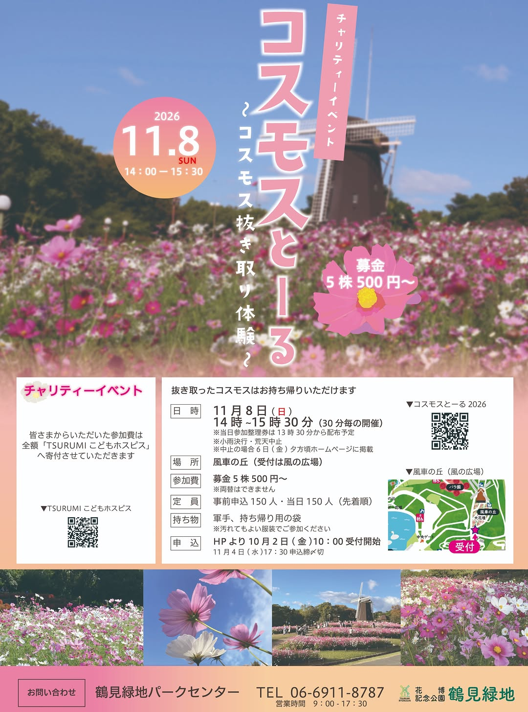 コスモスとーる2026 ～コスモス抜き取り体験～を11月8日に風車の丘で開催