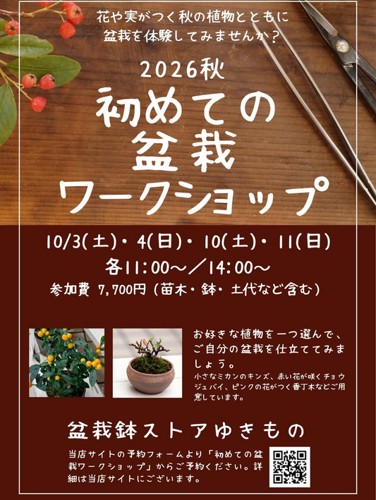 盆栽鉢ストアゆきもので2026 秋 初めての盆栽ワークショップを10月3日・4日・10日・11日に開催
