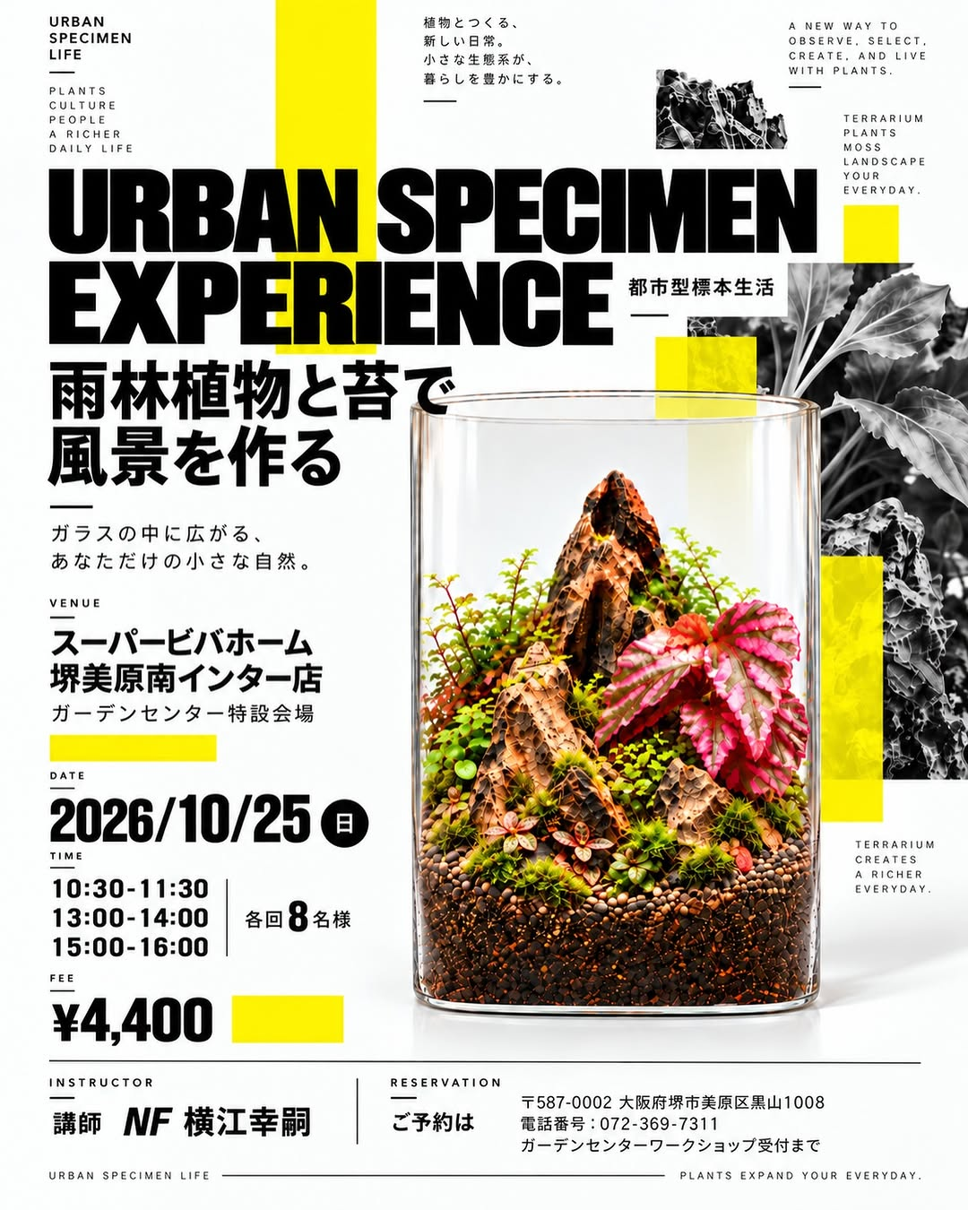 URBAN SPECIMEN EXPERIENCEをスーパービバホーム美原南インター店で開催 雨林植物と苔のテラリウムワークショップ