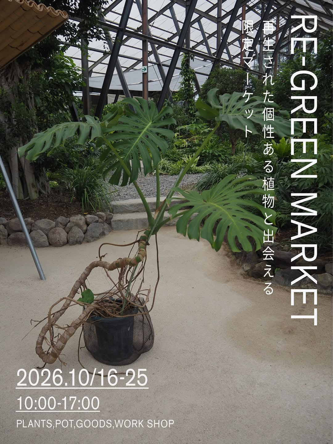 大多喜有用植物苑で「Re-green Market」開催、個性豊かな再生植物が並ぶマーケット