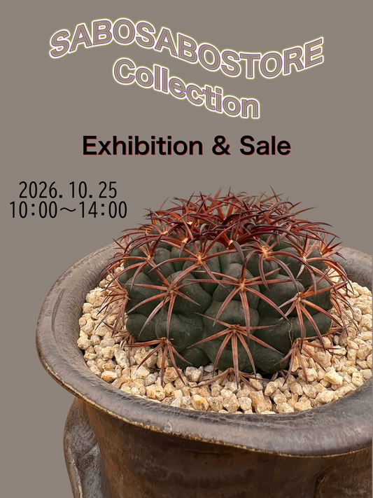 SABOSABOSTORE Collection Exhibition & Saleを君津市で10月25日に開催