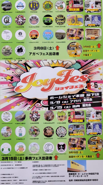 JOYフェスvol.2が2週連続で開催、アガベと多肉植物の特集展示とハビタットスタイルワークショップを実施