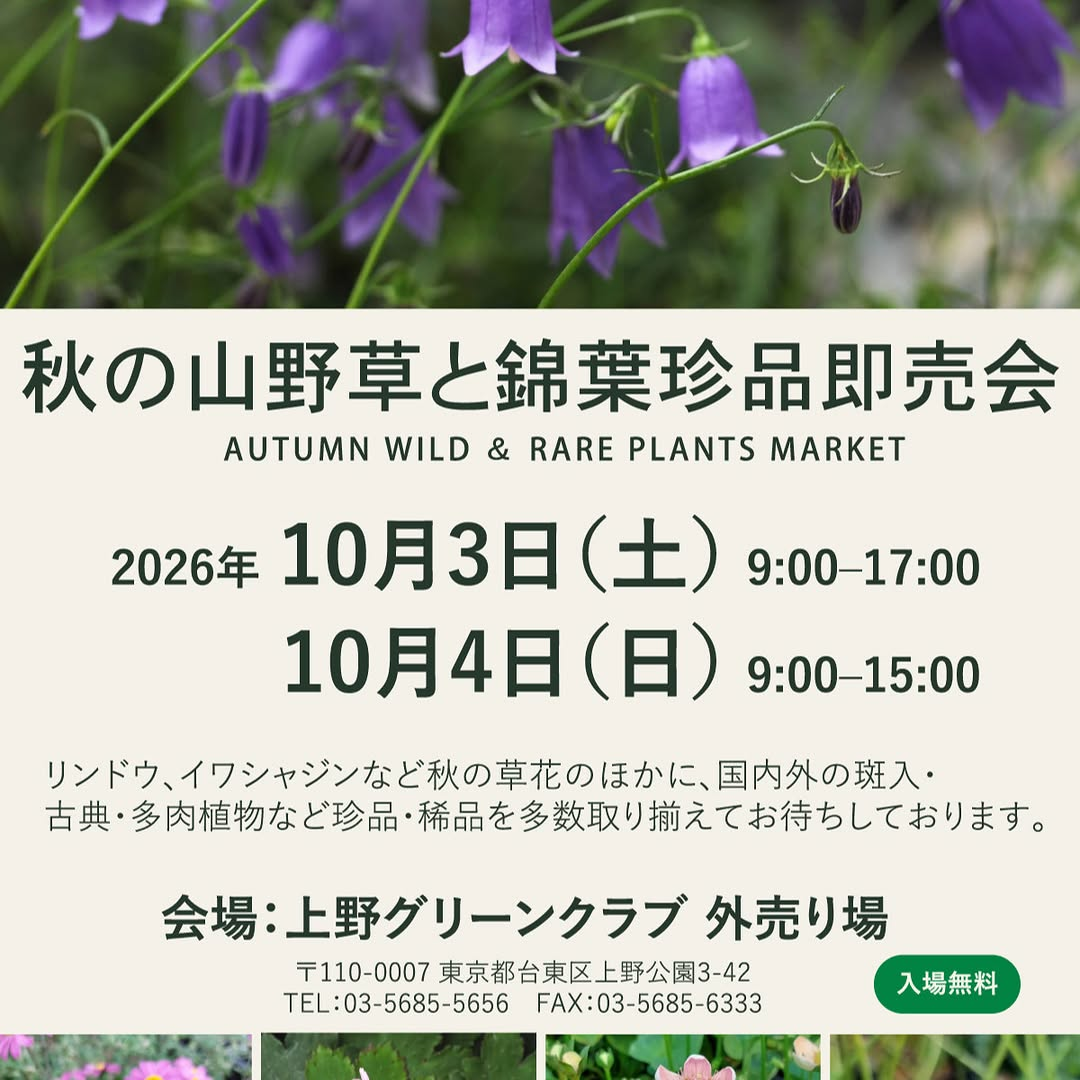 上野グリーンクラブで秋の山野草と錦葉珍品即売会を2026年10月3日・4日