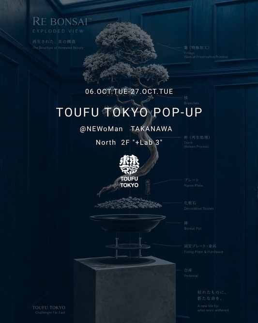 NEWoMan高輪でTOUFU TOKYO POP-UP開催、RE BONSAI™限定30株を展示販売