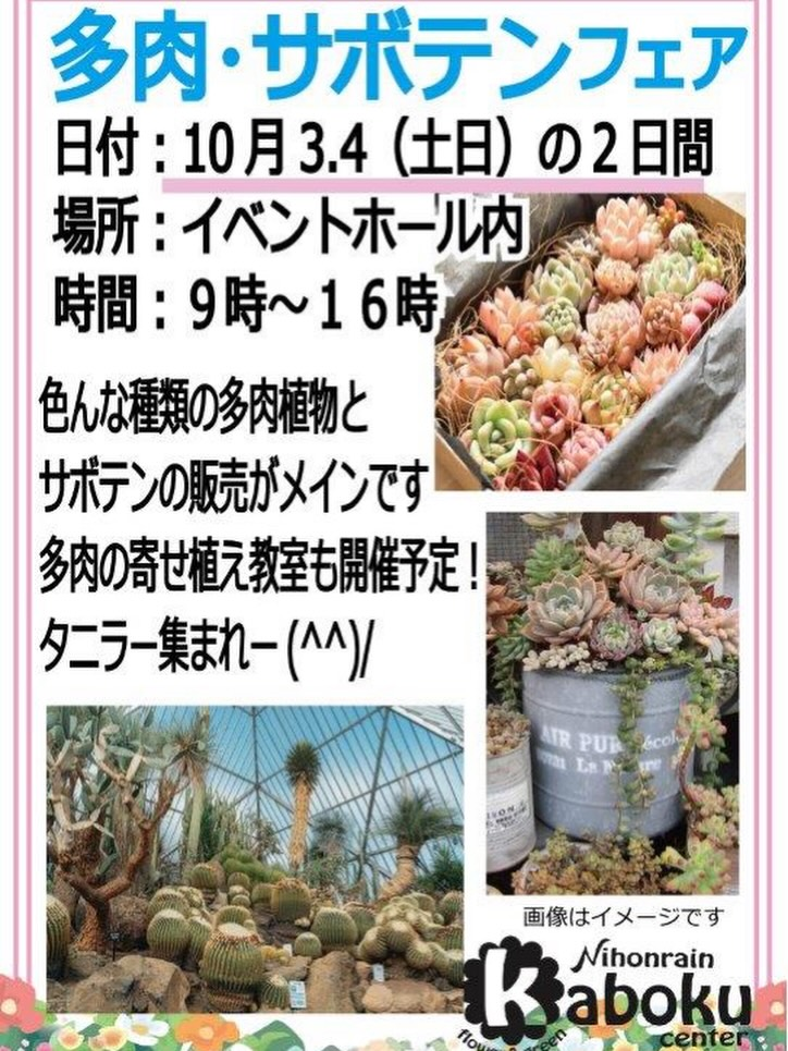 日本ライン花木センターで「多肉・サボテンフェア」開催 多肉植物とサボテンを販売