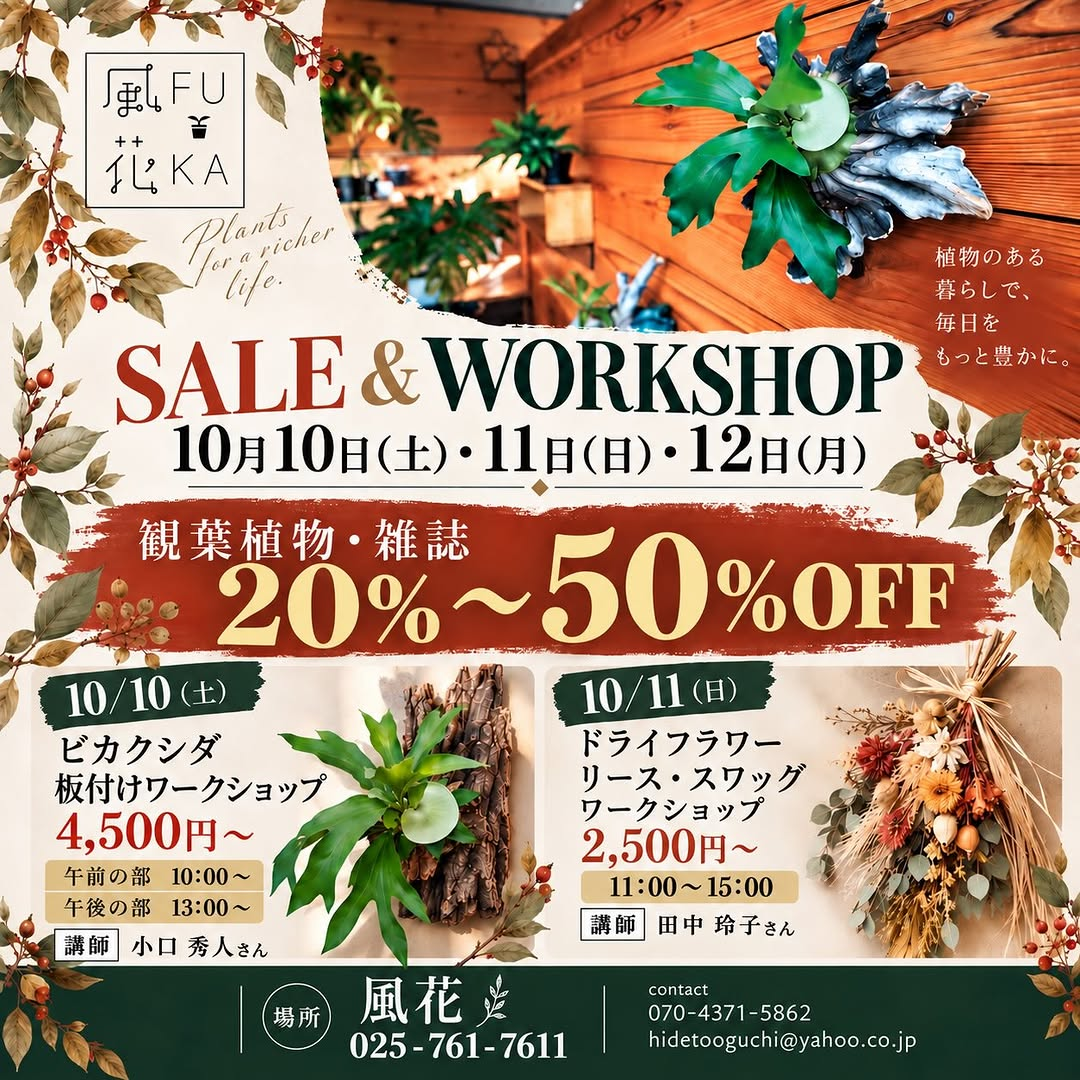 植物と雑貨のお店「風花」でAUTUMN SALE＆WORKSHOPを10月10日から3日間開催