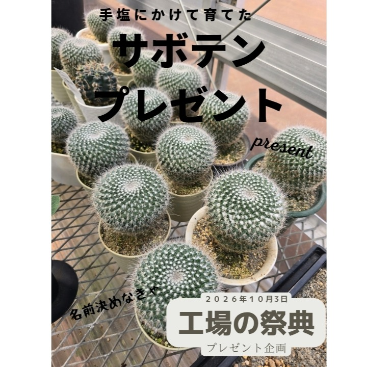 燕三条 工場の祭典2026 株式会社三条工機製作所 工場見学・サボテンプレゼント企画を10月3日に開催
