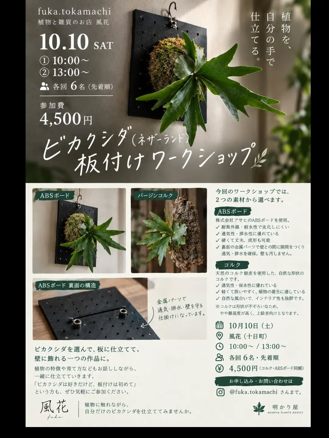 風花で「ビカクシダ（ネザーランド）板付けワークショップ」10月10日開催