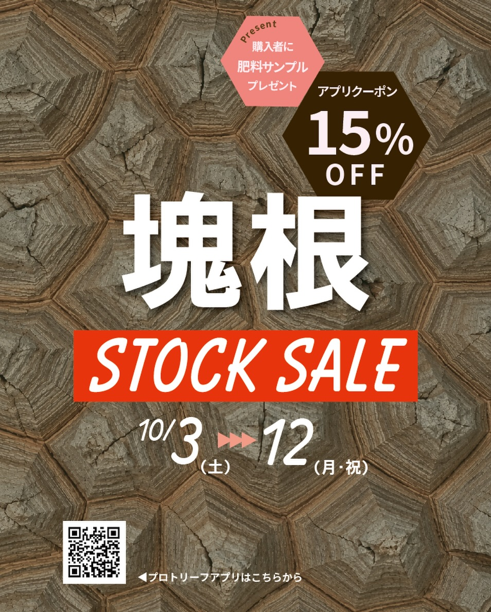 プロトリーフゆめが丘ソラトス店で塊根植物ストックセールを10月3日から開催