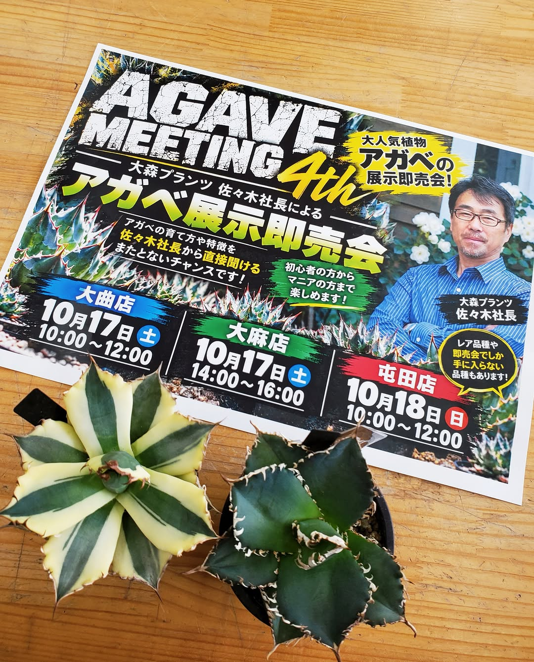 アガベ展示即売会をジョイフルエーケー屯田店で10月18日に開催