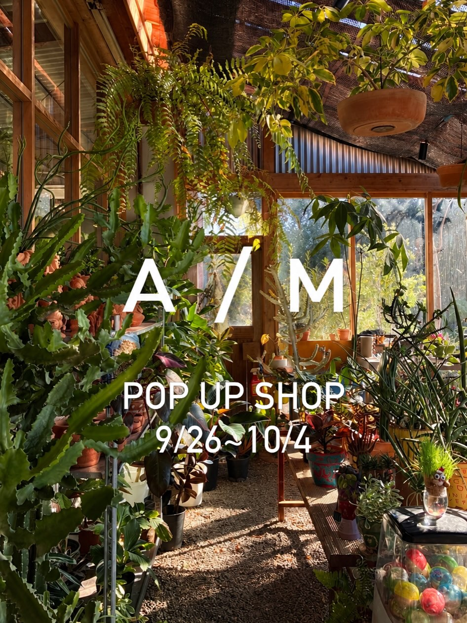POP UP SHOPをLunettes山の方で開催 2026年9月26日から10月4日まで