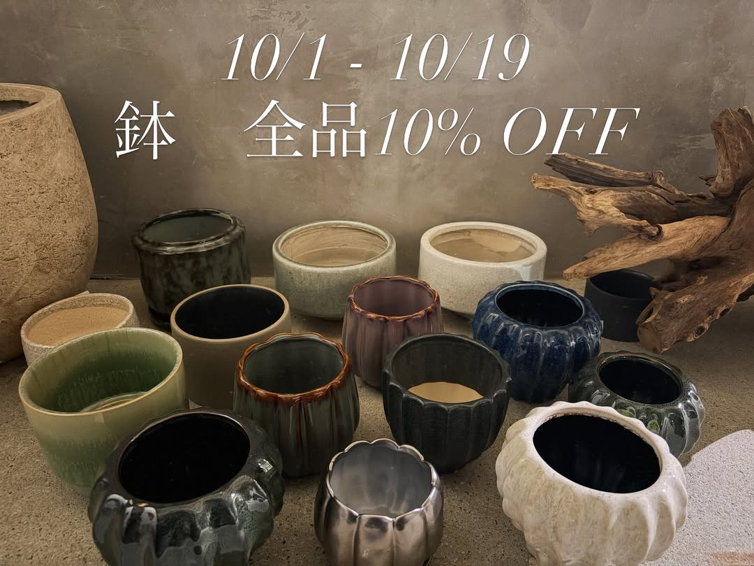 SITH Autumn Campaign — CHAPTER 1で鉢・鉢カバー・macetaが全品10%OFF