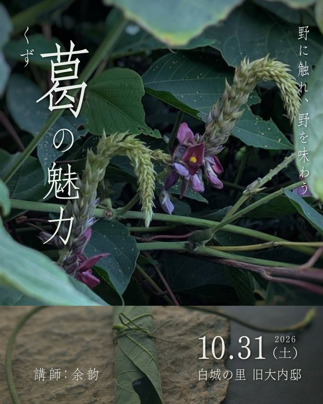 余韵／野に触れ、野を味わう —葛の魅力—を10月31日に八女市で開催