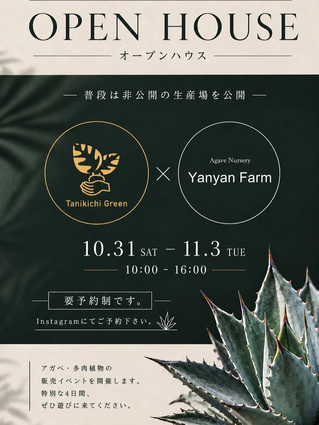 OPENHOUSE／オープンハウスでアガベ・多肉植物を販売する4日間のイベント