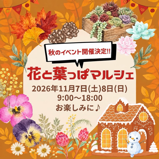 興農園で「花と葉っぱマルシェ」開催、ミニ寄せ植えワークショップや2日間限定セール