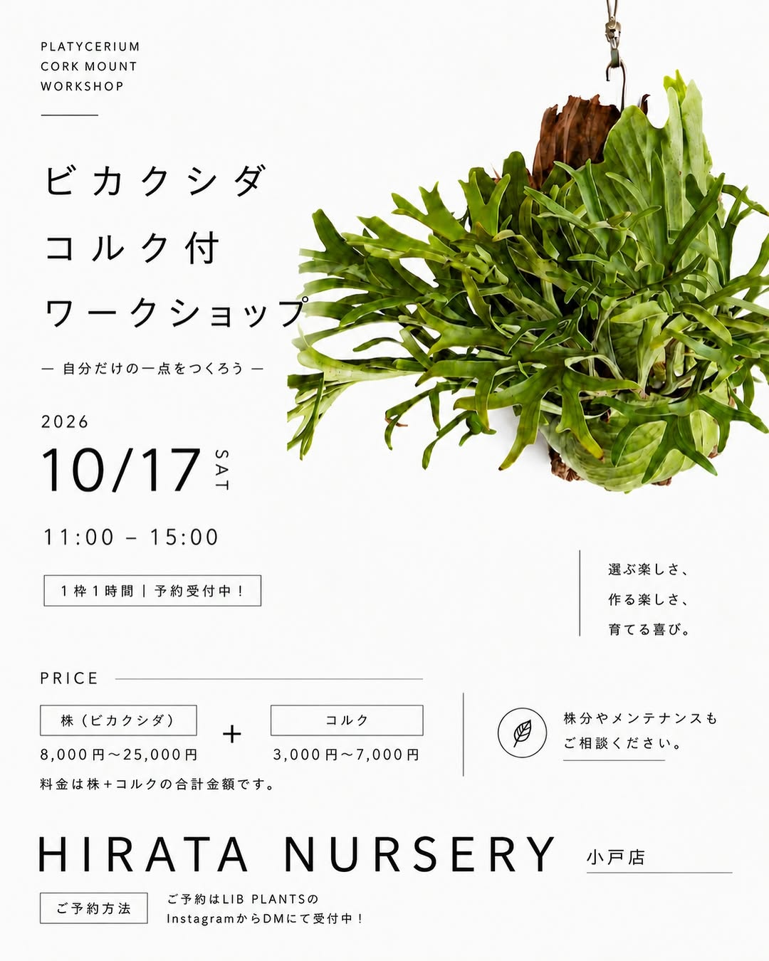 HIRATA NURSERY 小戸店でビカクシダ コルク付ワークショップを10月17日に開催
