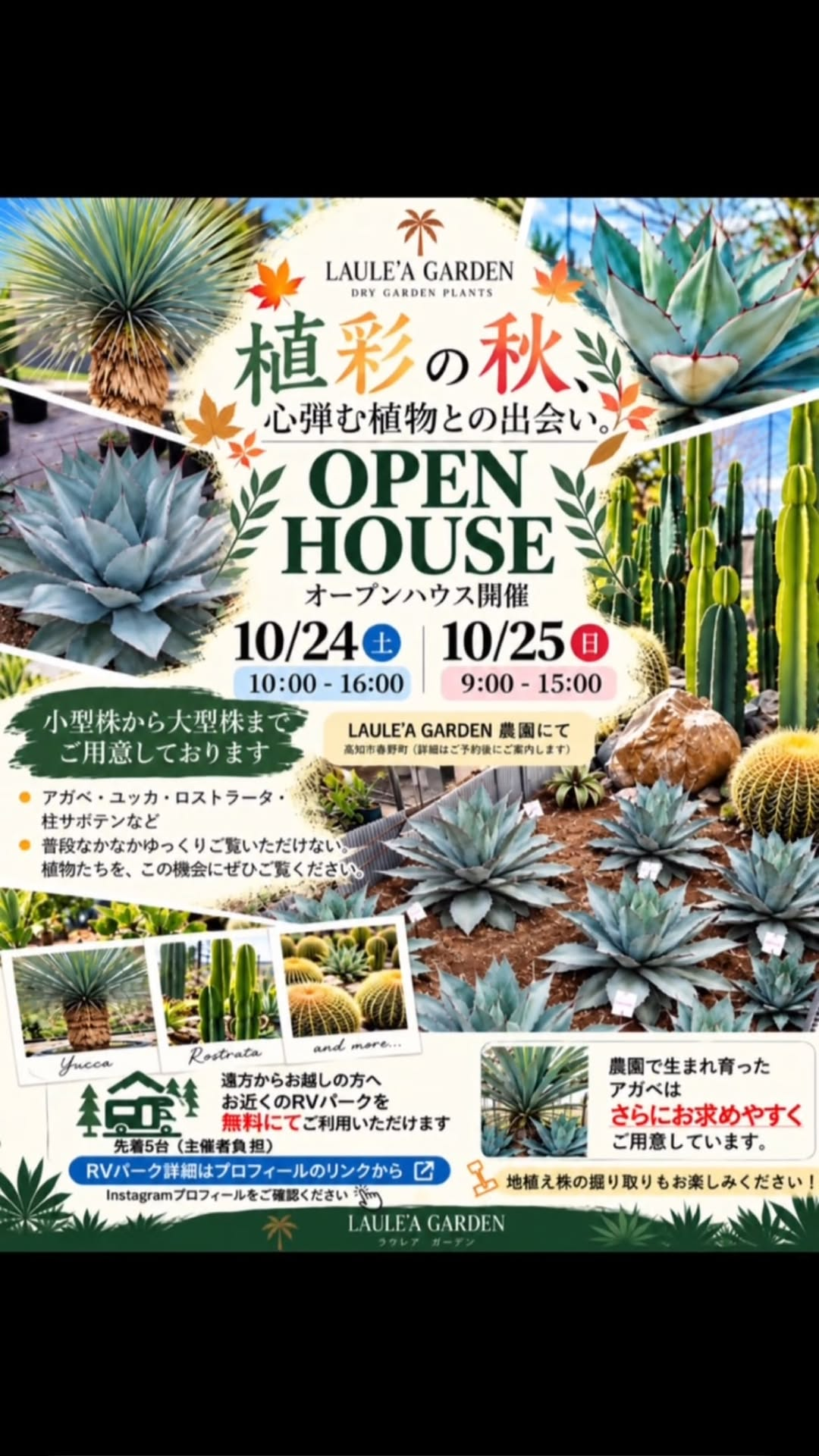 LAULE’A GARDEN 秋のOPEN HOUSEを高知市春野町の農園で10月24日・25日に開催