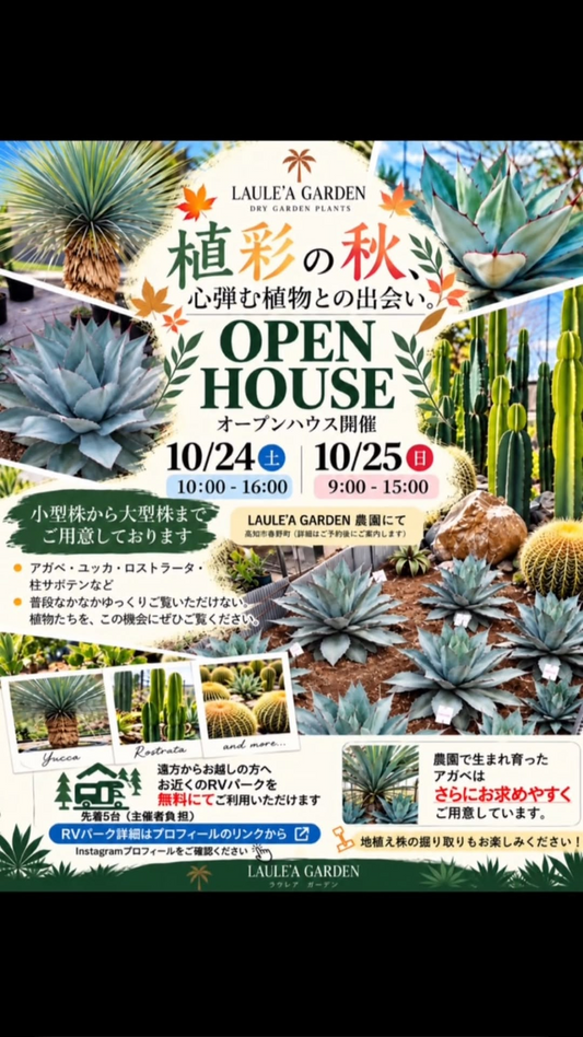 LAULE’A GARDEN 秋のOPEN HOUSEを高知市春野町の農園で10月24日・25日に開催