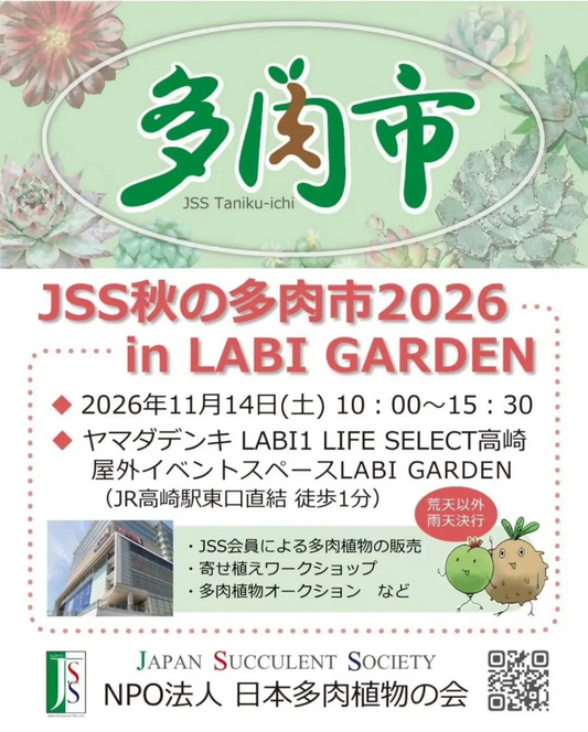 JSS秋の多肉市2026 in LABI GARDENがヤマダデンキLABI1 LIFE SELECT高崎で11月14日開催