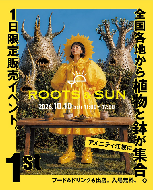 アメニティ江坂で「ROOTS & SUN 1st」開催 全国各地から植物や鉢が集結
