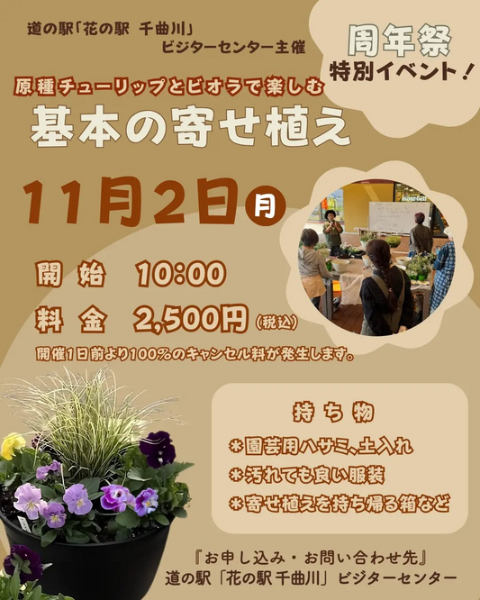原種チューリップとビオラを楽しむ基本の寄せ植えをビジターセンター前デッキスペースで開催