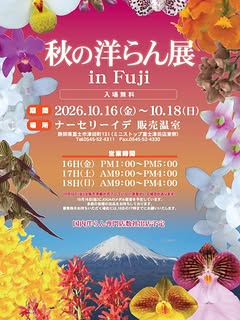 秋の洋らん展 in Fujiがナーセリーイデ販売温室で10月16日から開催