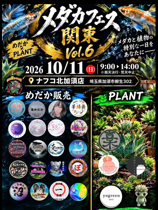 ナフコ北加須店で「メダカフェス関東 Vol.6」開催 メダカや多肉植物・アガベを販売