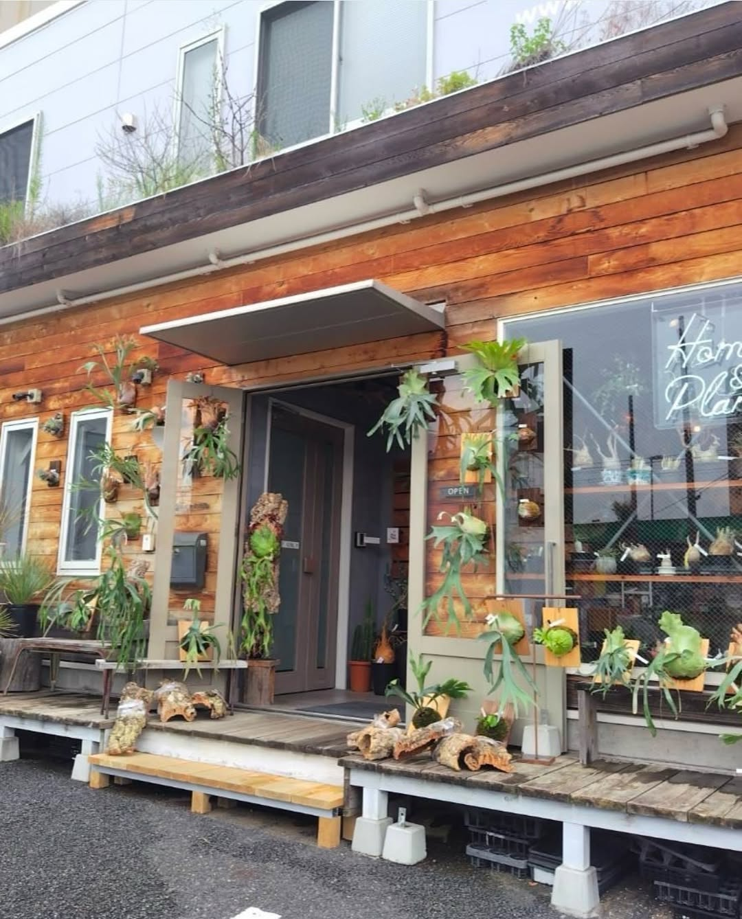 神戸市東灘区の植物屋「Home&Plants」で出張陶芸・フリー陶芸を10月10日・11日に開催
