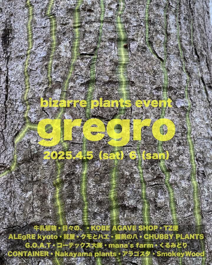 gregro 2025が大阪市港区で珍奇植物イベントを開催、17の専門店が集結し多彩な植物とグッズを販売