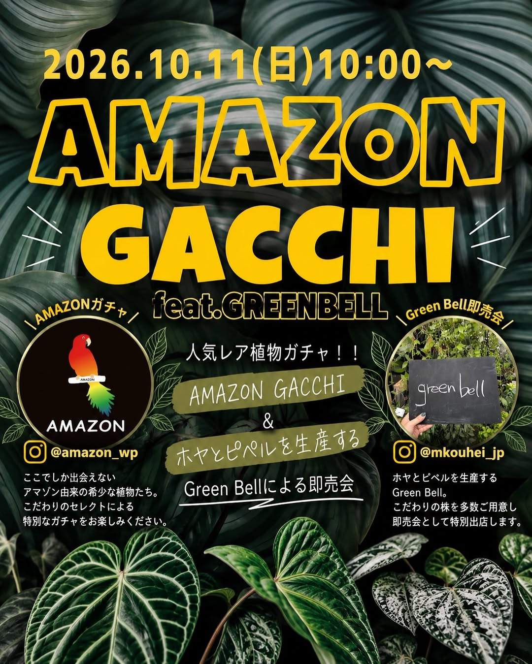 AMAZON GACCHI feat. GREEN BELLがゆくはし植物園で開催 植物ガチャとGreen Bell即売会