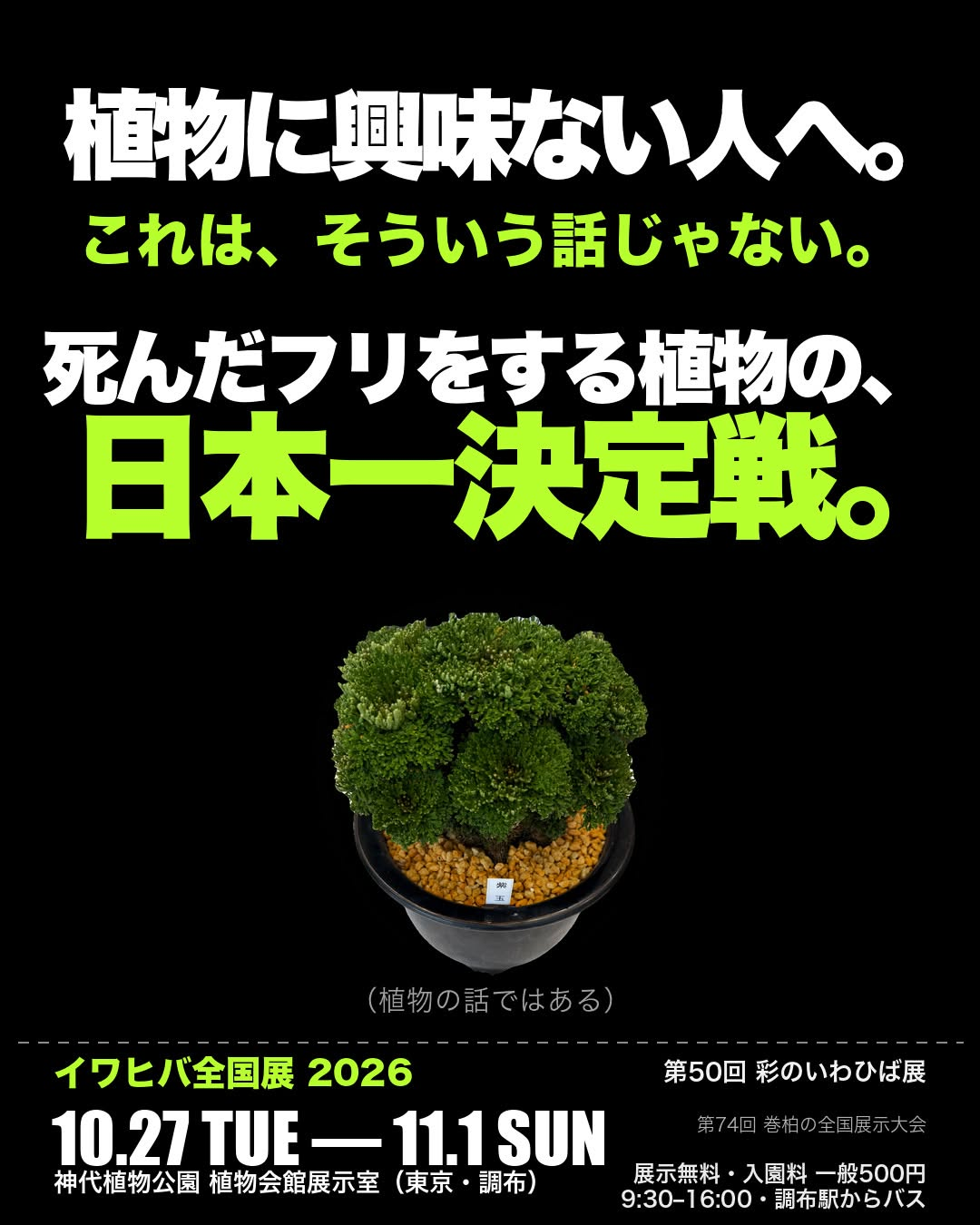 神代植物公園で「イワヒバ全国展 2026／第50回 彩のいわひば展／第74回 巻柏の全国展示大会」を開催