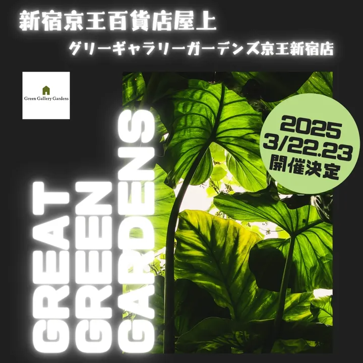 グリーンギャラリーガーデンズが新宿京王百貨店屋上で観葉植物イベント「GRADE GREEN GARDENS」を開催、希少植物と専門店が集結