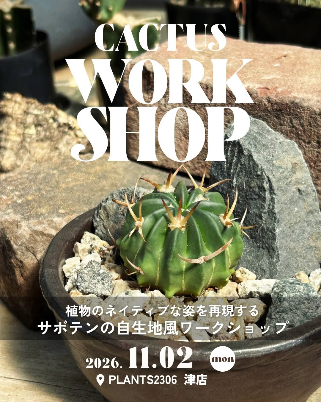 PLANTS2306津店でサボテンの自生地風ワークショップを11月2日に開催