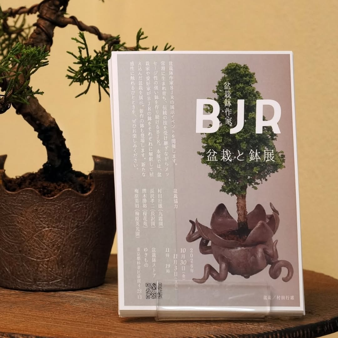 盆栽鉢作家BJR「盆栽と鉢」展を盆栽鉢ストアゆきもので開催、新作の鉢も登場