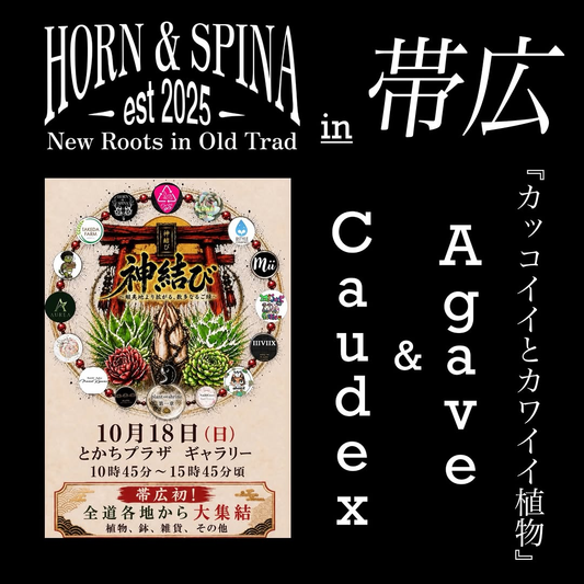 帯広・とかちプラザギャラリー 植物・鉢・雑貨イベントが2026年10月18日に開催