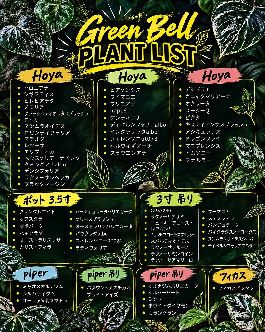 ゆくはし植物園「ホヤの世界」AMAZONGACCHI feat. green bell 出店