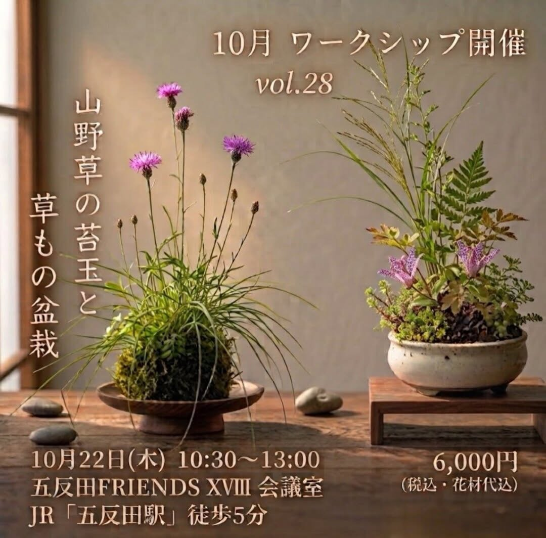 五反田で「山野草の苔玉と草もの盆栽」ワークショップを10月22日に開催