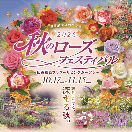ぎふワールドローズガーデンで「2026 秋のローズフェスティバル ～秋薔薇＆フラワーリビングガーデン～」開催