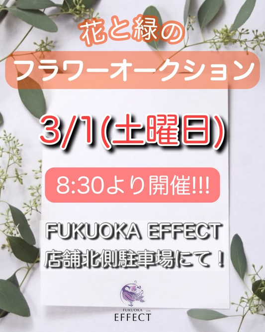 FUKUOKA EFFECTが福岡市で花と緑のフラワーオークションを開催、植物の育て方解説付きで初心者も安心して参加可能に