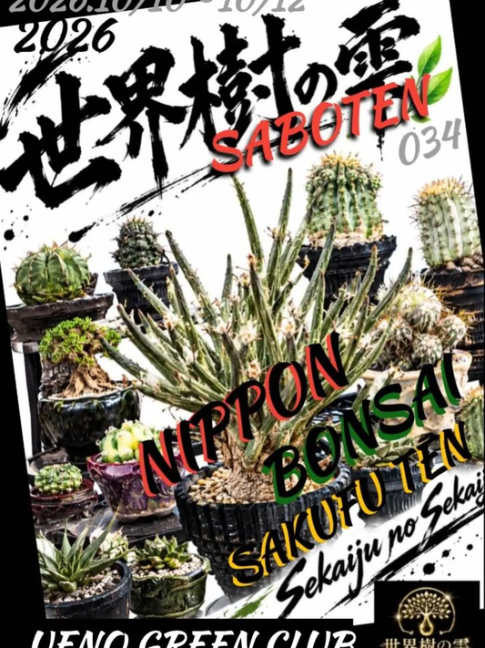 上野グリーンクラブで「日本盆栽 作風展」10月10日〜12日に開催、盆栽の名品を展示・販売