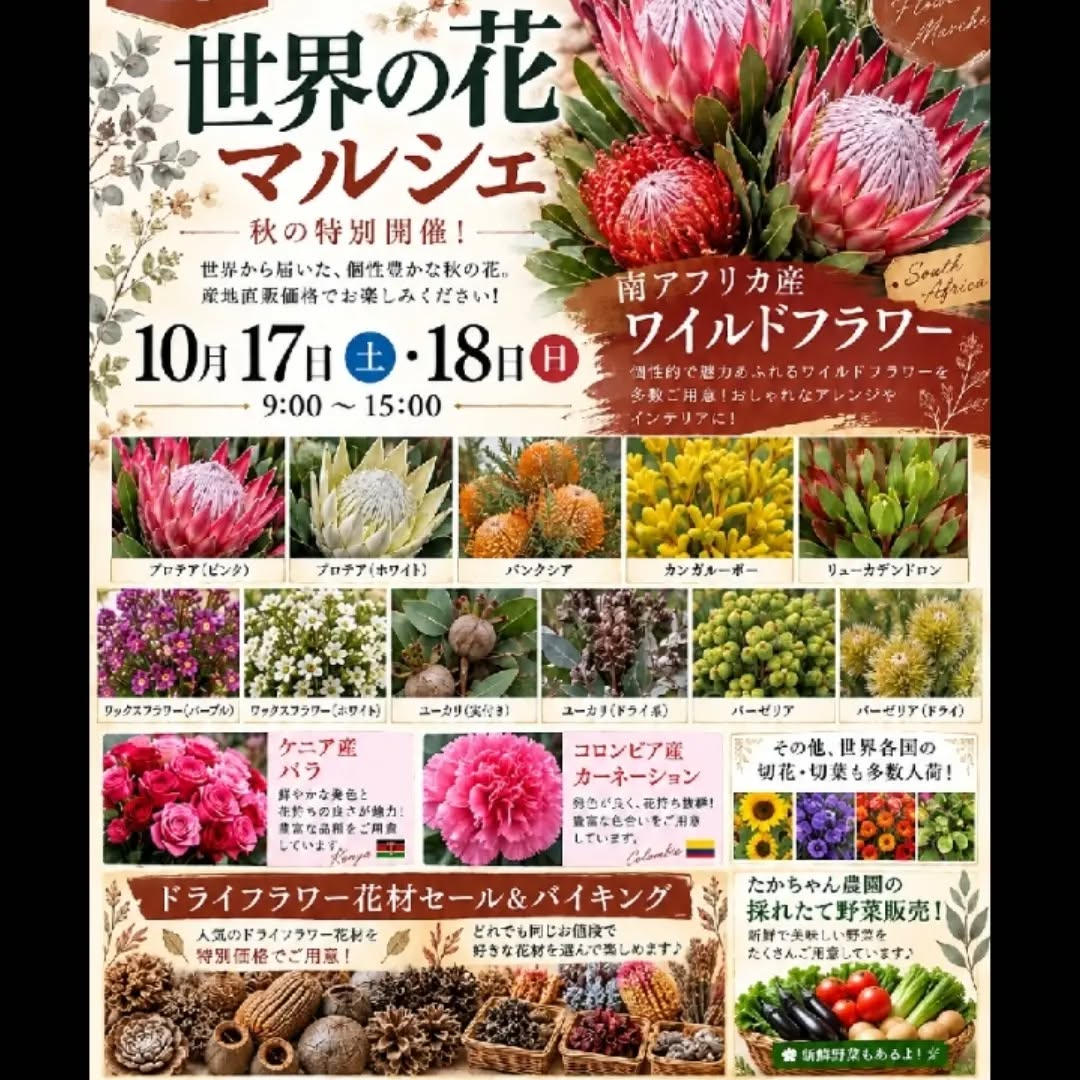 株式会社シマトレーディングで第18回 世界の花マルシェを10月18日・19日に開催