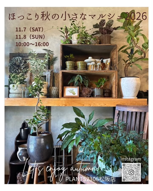PLANTS2306松阪店で「ほっこり秋の小さなマルシェ」を11月7日・8日に開催