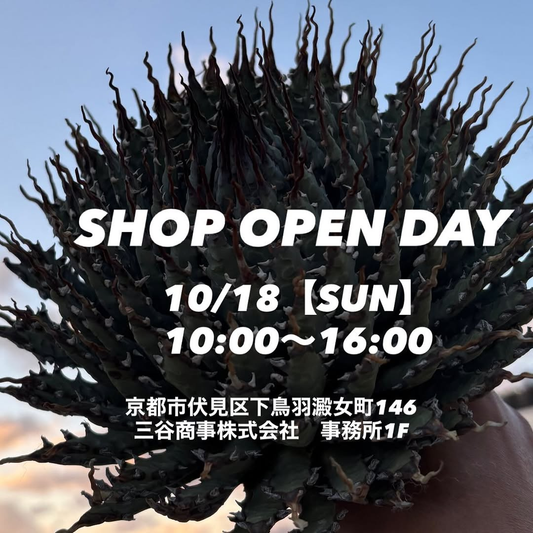 MS_kyoto_plants 販売会 SHOP OPEN DAYを京都市伏見区で10月18日に開催