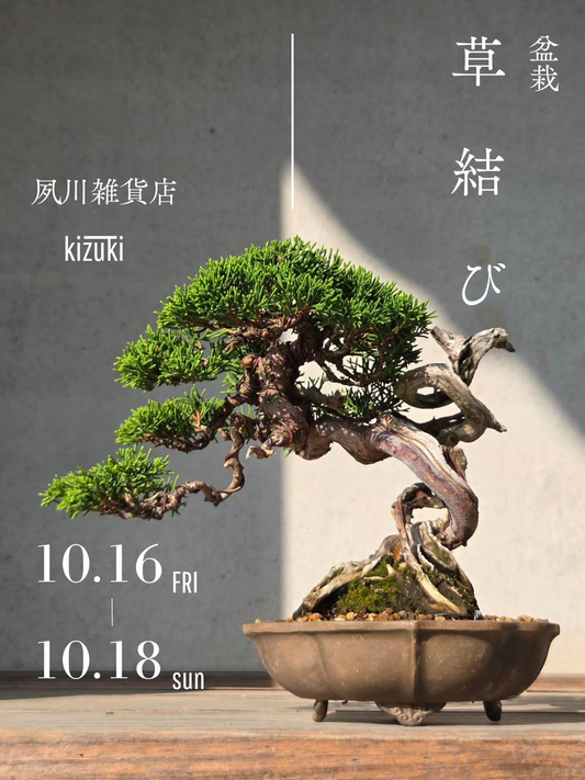 kizuki.shopで盆栽展示販売会「草結び」開催 10月16日から18日まで