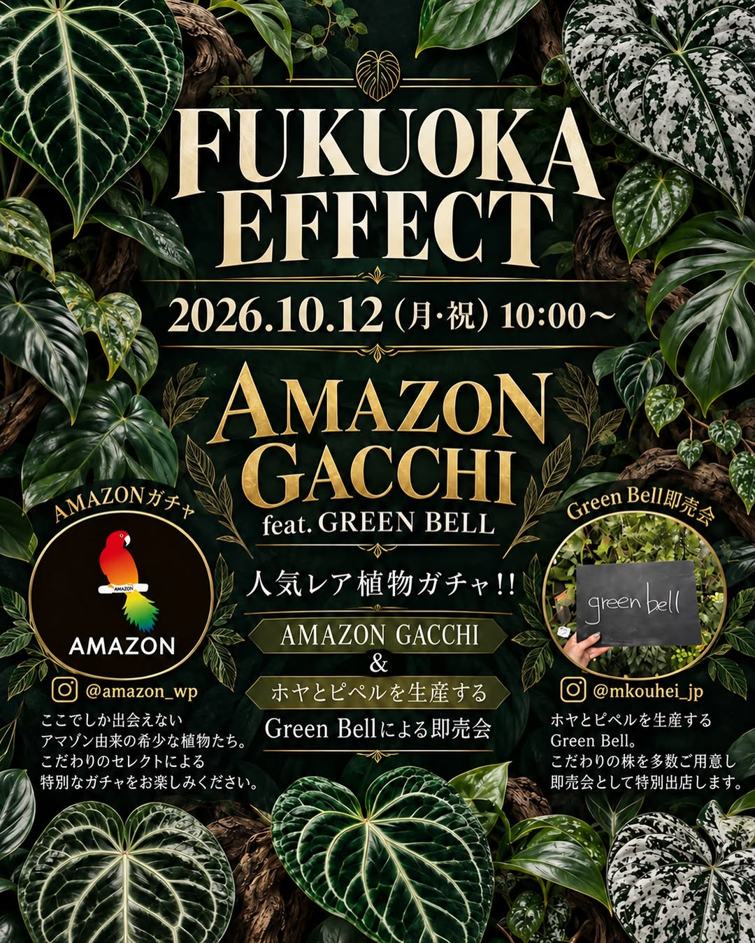 AMAZON GACCHI feat. GREEN BELLをFUKUOKA EFFECTで10月12日に開催