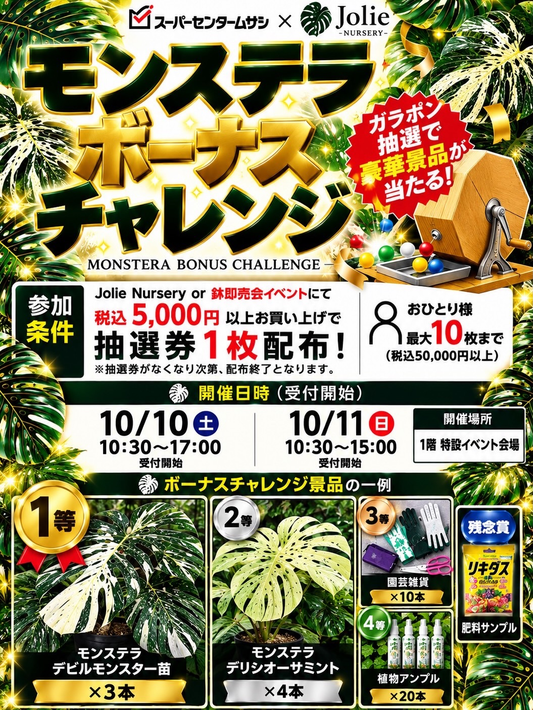 スーパーセンタームサシ新潟店でJolie Nursery即売会を10月10日・11日に開催