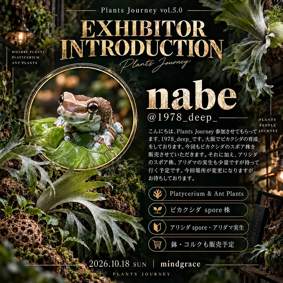 Plants Journey vol.5.0が大阪・八尾のmindgraceで開催、ビカクシダやアリ植物を販売予定