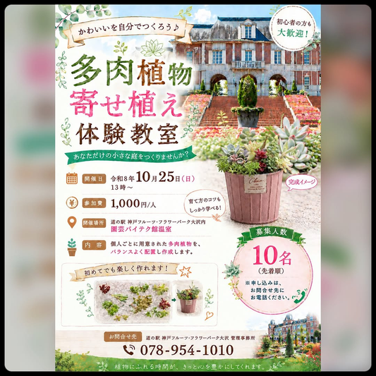 多肉植物寄せ植え体験教室が道の駅 神戸フルーツ・フラワーパーク大沢で10月25日開催