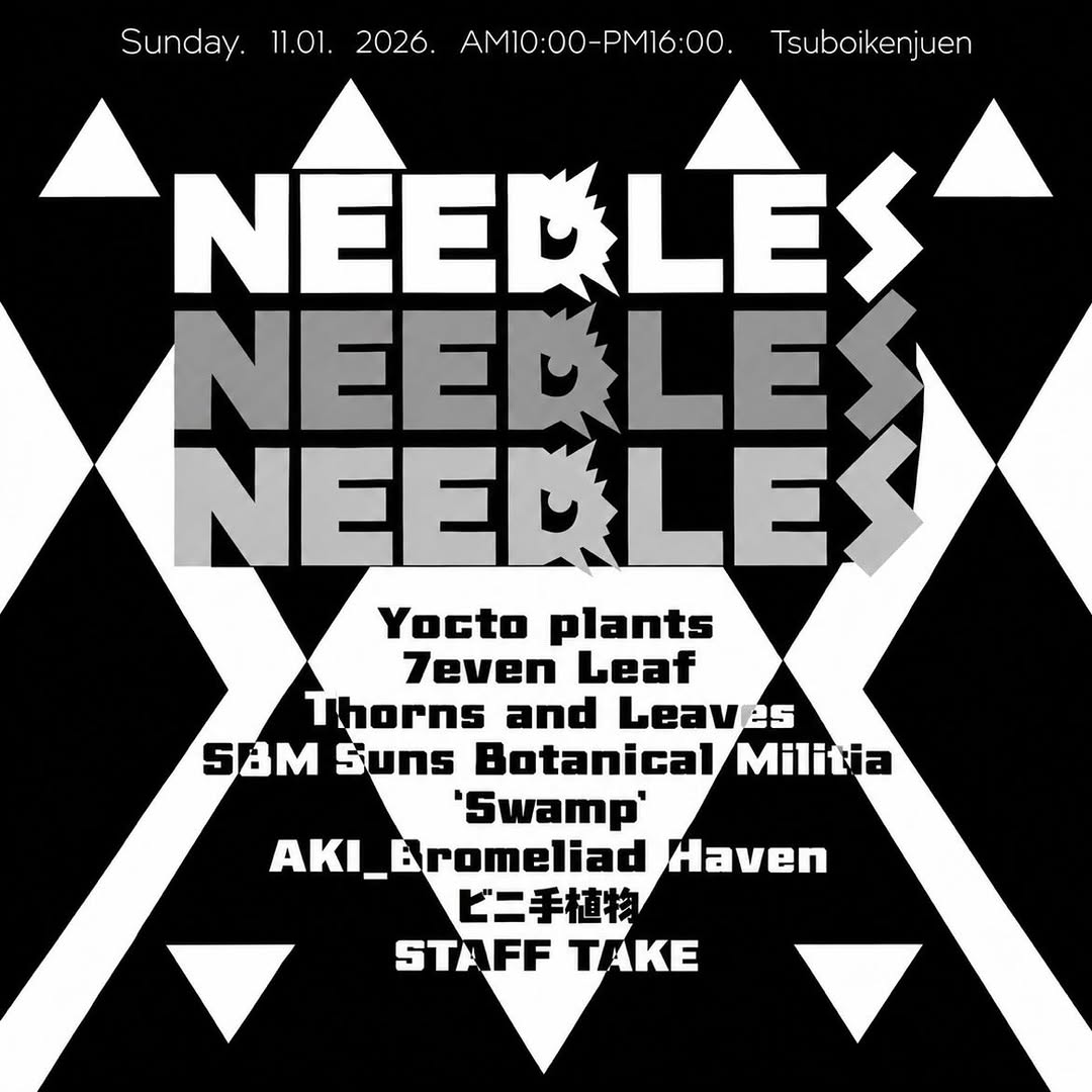 坪井健樹園で「DYCKIA EVENT NEEDLES」開催、国内ディッキアブリーダーが出店